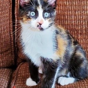 Meet your Posher, Holly